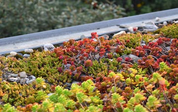 the cost of Oxbridge green roof installation