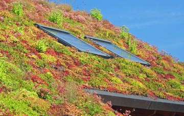 Oxbridge living roof systems