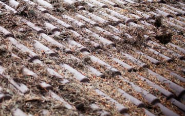 Oxbridge roof cleaning companies