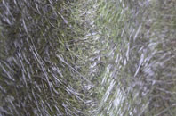 Oxbridge fibreglass roof work